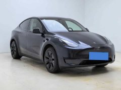 Tesla Model Y 2024 Rear-Wheel Drive - ფოტო 12
