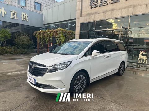 2022 Buick GL8 ES Land Respect 653T Luxury - ავტომობილი ჩინეთიდან