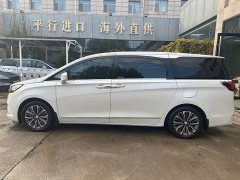 Buick GL8 ES Land Respect 653T Luxury - ფოტო 11