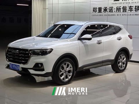2023 Haval H6 2021 National Trend 1.5T Automatic Champion Edition - ავტომობილი ჩინეთიდან