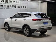 Haval H6 2021 National Trend 1.5T Automatic Champion Edition - ფოტო 6