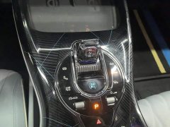 BYD Seal 550km Standard Range RWD Luxury - ფოტო 16