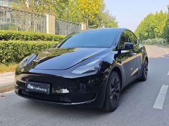 Tesla Model Y Rear-Wheel Drive - ფოტო 1