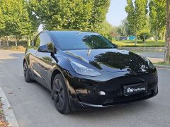 Tesla Model Y Rear-Wheel Drive - ფოტო 3