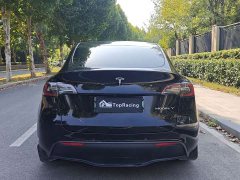 Tesla Model Y Rear-Wheel Drive - ფოტო 8