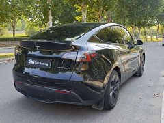 Tesla Model Y Rear-Wheel Drive - ფოტო 9