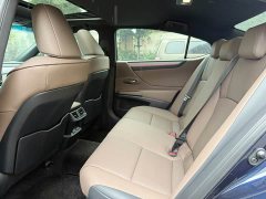 Lexus ES 300h Premium Edition - ფოტო 10