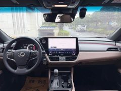 Lexus ES 300h Premium Edition - ფოტო 13