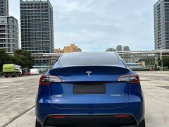 Tesla Model Y Rear-Wheel Drive - ფოტო 6
