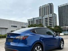 Tesla Model Y Rear-Wheel Drive - ფოტო 7