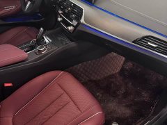 BMW 5 Series Facelift 530Li xDrive M Sport Package - ფოტო 7
