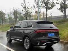 Geely Monjaro i-HEV Intelligent Hybrid Wangshu Edition - ფოტო 8