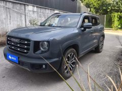 Great Wall Dachshund 2022 1.5T DCT Two-Wheel Drive Border Collie Edition - ფოტო 1