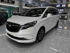 Buick GL8 ES Land Respect 653T Luxury - ფოტო 1