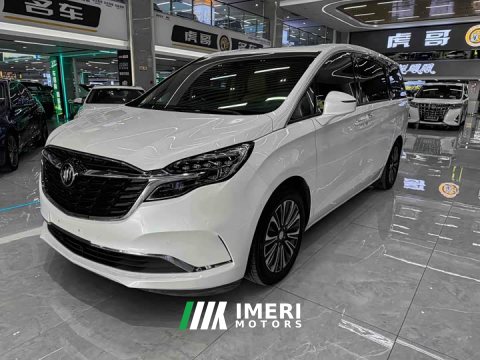 2021 Buick GL8 ES Land Respect 653T Luxury - ავტომობილი ჩინეთიდან