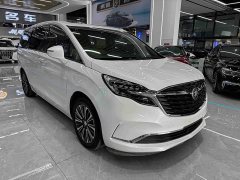 Buick GL8 ES Land Respect 653T Luxury - ფოტო 3
