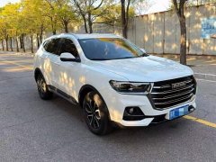 Haval H6 2021 National Trend Edition 1.5T Automatic Urban Version - ფოტო 1