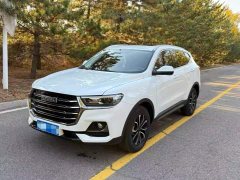 Haval H6 2021 National Trend Edition 1.5T Automatic Urban Version - ფოტო 3