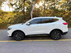 Haval H6 2021 National Trend Edition 1.5T Automatic Urban Version - ფოტო 8