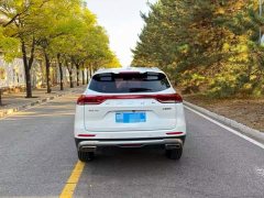 Haval H6 2021 National Trend Edition 1.5T Automatic Urban Version - ფოტო 9