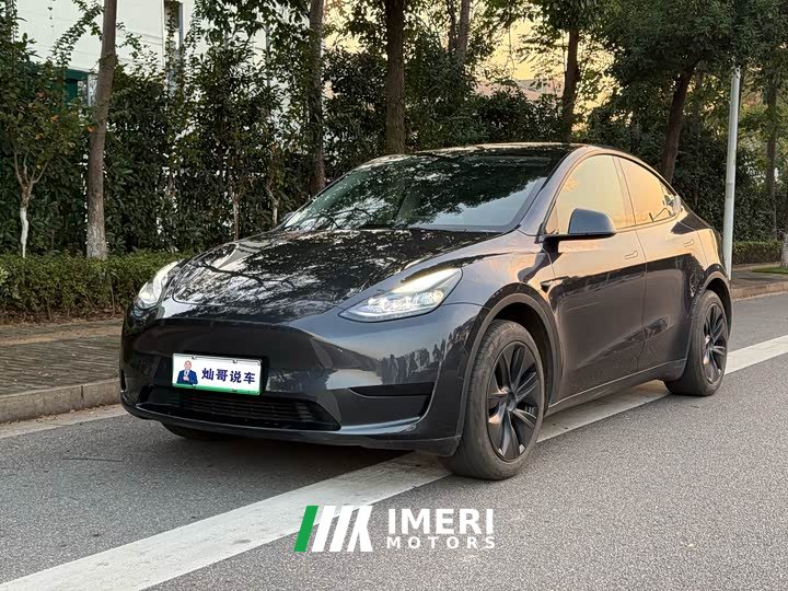 Tesla Model Y Rear-Wheel Drive