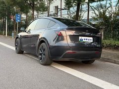Tesla Model Y Rear-Wheel Drive - ფოტო 11