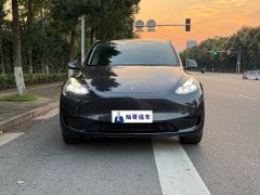 Tesla Model Y Rear-Wheel Drive - ფოტო 2