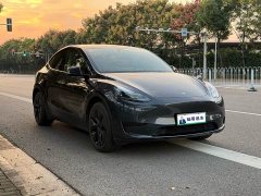 Tesla Model Y Rear-Wheel Drive - ფოტო 3
