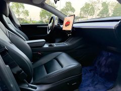 Tesla Model Y Rear-Wheel Drive - ფოტო 8