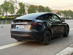 Tesla Model Y Rear-Wheel Drive - ფოტო 9