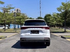 Chery Tiggo 8 PRO 2025 290T Two-Wheel Drive Luxury Edition - ფოტო 19