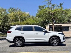Chery Tiggo 8 PRO 2025 290T Two-Wheel Drive Luxury Edition - ფოტო 5