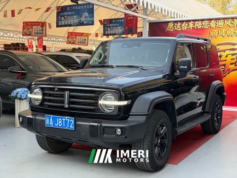 2021 Tank 300 Off-Road Edition 2.0T Challenger - ავტომობილი ჩინეთიდან