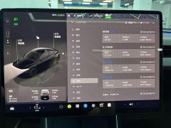Tesla Model Y Rear-Wheel Drive - ფოტო 8