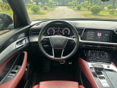 Audi Q6 45 TFSI quattro Dark Knight Edition 6-Seater - ფოტო 18