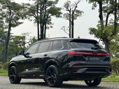 Audi Q6 45 TFSI quattro Dark Knight Edition 6-Seater - ფოტო 4
