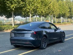 Tesla Model 3 High Performance All-Wheel Drive - ფოტო 9