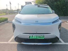 Buick Zhijing Shijia Luxury Edition - ფოტო 2