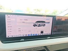 Buick Zhijing Shijia Luxury Edition - ფოტო 9