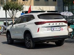Haval H6 2022 Third Generation 1.5T Automatic Two-Wheel Drive Pro - ფოტო 4