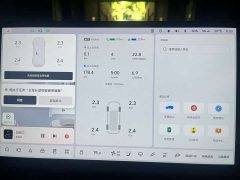 Li Auto L9 Max - ფოტო 8