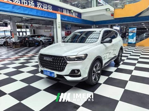 2023 Haval H6 National Trend Edition 1.5T Automatic Champion Version - ავტომობილი ჩინეთიდან