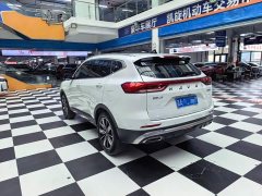 Haval H6 National Trend Edition 1.5T Automatic Champion Version - ფოტო 7