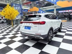 Haval H6 National Trend Edition 1.5T Automatic Champion Version - ფოტო 9