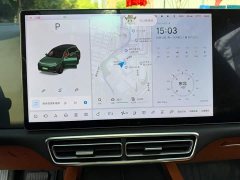Li Auto L8 Pro - ფოტო 9