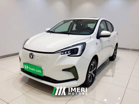 2021 Changan Benben E-Star 2020 Joyful Edition Lithium Iron Phosphate (31.18kWh) - ავტომობილი ჩინეთიდან