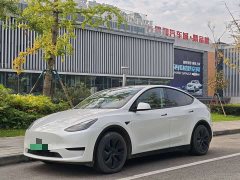 Tesla Model Y 2023 Rear-Wheel Drive - ფოტო 1