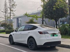 Tesla Model Y 2023 Rear-Wheel Drive - ფოტო 10