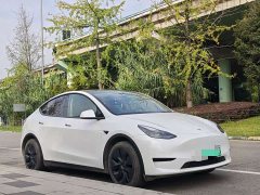 Tesla Model Y 2023 Rear-Wheel Drive - ფოტო 2