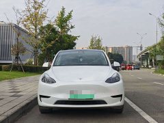 Tesla Model Y 2023 Rear-Wheel Drive - ფოტო 3